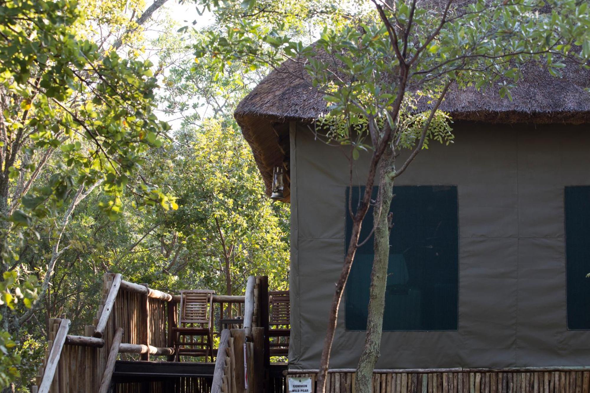 Honeyguide Ranger Camp Hotel Golders Green Quarto foto